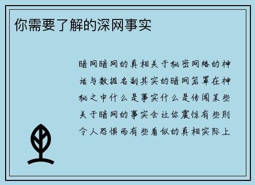 你需要了解的深网事实