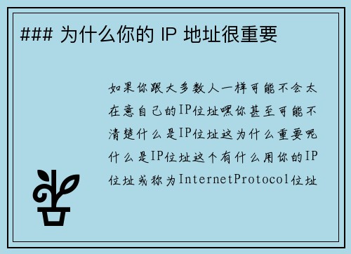### 为什么你的 IP 地址很重要 